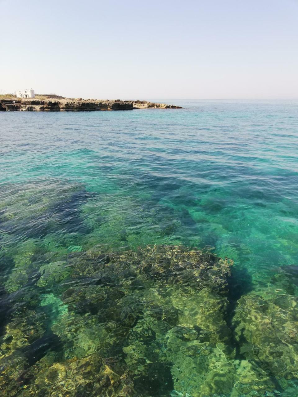 Villa Torto Monopoli Eksteriør billede